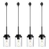 4 Pack H-Type Track Lighting Pendants Black Ceiling Track Hanging Light Fixtures with Clear Glass Shades, Compatible with H Type Track Lighting Rail