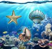 3 Pcs Metal Beach Wall Decor Sea Star Shell Conch Metal Decor Ocean Theme Marine Coastal Bathroom Decorations Rustic Valentine Nautical Wall Art for O