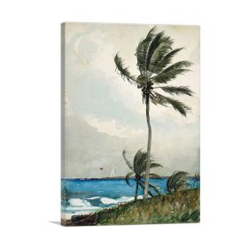 Palm Tree - Nassau 1898 (Type: Standard Framed Canvas Print, size: 32" x 24" / 80cm x 60cm (approx))