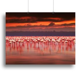 African flamingos in the lake Canvas Print or Poster (Type: Standard Framed Canvas Print, size: 32" x 24" / 80cm x 60cm (approx))