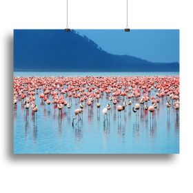 African safari flamingos in the lake Canvas Print or Poster (Type: Standard Framed Canvas Print, size: 28" x 20" / 70cm x 50cm (approx))