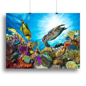 Reef with many fishes and sea turtle Canvas Print or Poster (Type: Standard Framed Canvas Print, size: 16" x 12" / 42cm x 30cm (approx))