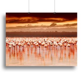 African flamingos in the lake over beautiful sunset Canvas Print or Poster (Type: Poster Print, size: 28" x 20" / 70cm x 50cm (approx))